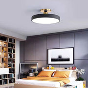 Flush Mount Ceiling Light — view 5