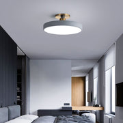 Flush Mount Ceiling Light — view 6