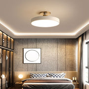 Flush Mount Ceiling Light — view 2