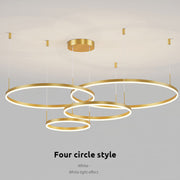 Pendant Light Tir-Circle Linear — view 9