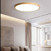 Ceiling Light — view 6