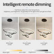 Modern Ring Pendant Light, 2 / 3 / 4 Rings — view 7