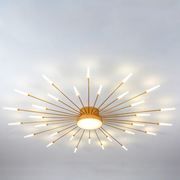 Modern Home Decoration Fireworks LED Ceiling Light — view 5