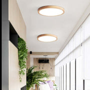 Ceiling Light — view 9