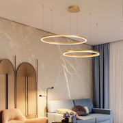 Pendant Light Tir-Circle Linear — view 3
