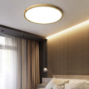 Ceiling Light — view 10