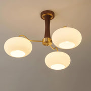 Brass Wooden Glass Persimmon Chandelier — view 14