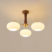 Brass Wooden Glass Persimmon Chandelier — view 28