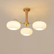 Brass Wooden Glass Persimmon Chandelier — view 13