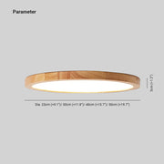 Ceiling Light — view 4