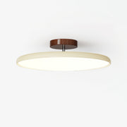 Adjustable Ceiling Light Colourful for Bedroom by Tallis Home