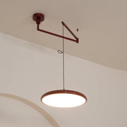 Pendant Light Morandi Adjustable Arm — view 28