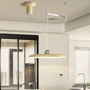 Pendant Light Morandi Adjustable Arm — view 12