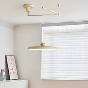 Pendant Light Morandi Adjustable Arm — view 20