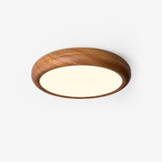 Round Acrylic Ceiling Light — view 15
