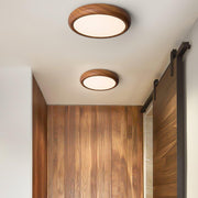 Round Acrylic Ceiling Light — view 4