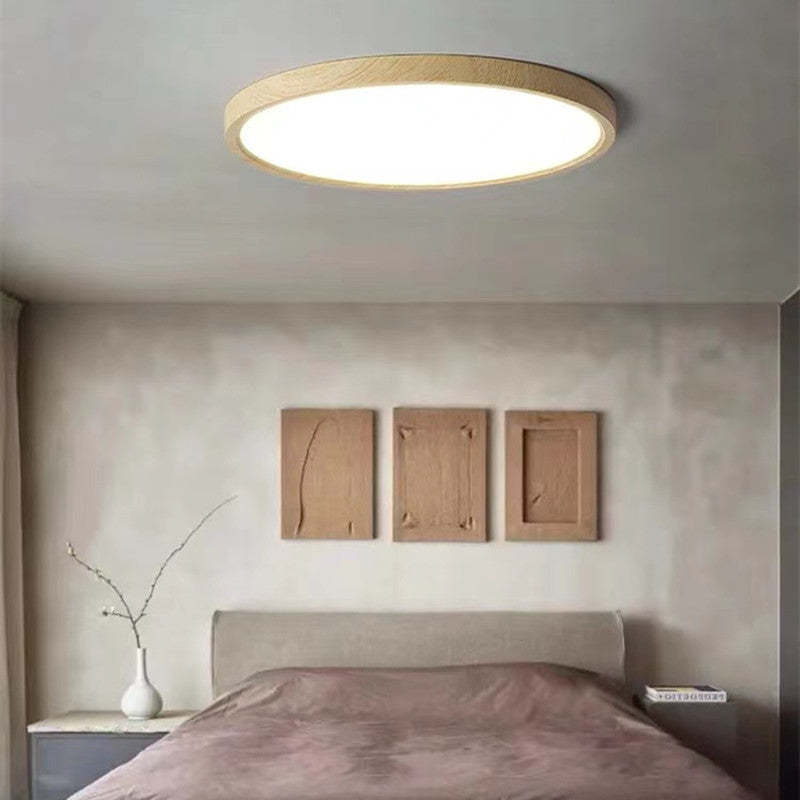 Ceiling Light — view 2