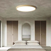 Ceiling Light — view 3