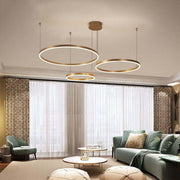 Pendant Light Tir-Circle Linear — view 4