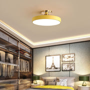 Flush Mount Ceiling Light — view 8