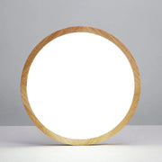 Ceiling Light — view 11